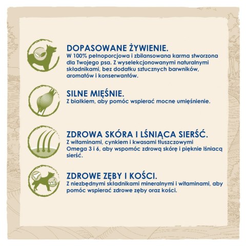 Purina Dog Chow Adult Z Jagnięciną 14kg Purina Dog Chow
