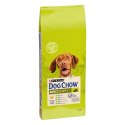 Purina Dog Chow Adult Z Kurczakiem 14kg Purina Dog Chow
