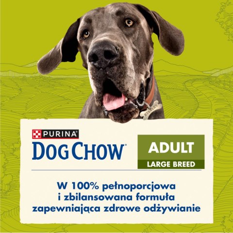 Purina Dog Chow Large Breed Adult Z Indykiem 14kg Purina Dog Chow