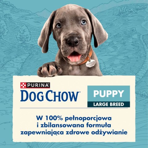Purina Dog Chow Large Breed Puppy Z Indykiem 14kg Purina Dog Chow