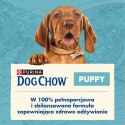 Purina Dog Chow Puppy Z Jagnięciną 14kg Purina Dog Chow