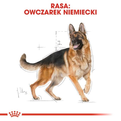 ROYAL CANIN German Shepherd Adult 11kg Royal Canin