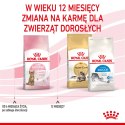 ROYAL CANIN Kitten Sterilised 2kg Royal Canin