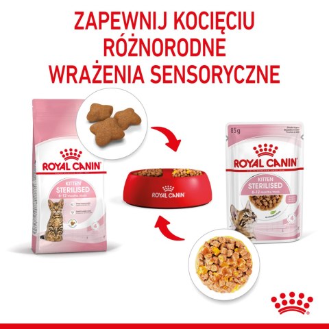 ROYAL CANIN Kitten Sterilised Gelee 12x85g Royal Canin