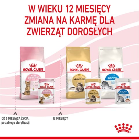 ROYAL CANIN Kitten Sterilised Gelee 12x85g Royal Canin
