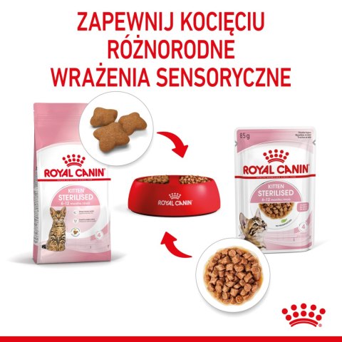 ROYAL CANIN Kitten Sterilised Sauce 12x85g Royal Canin