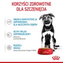 ROYAL CANIN Maxi Puppy 10x140g Royal Canin