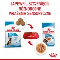 ROYAL CANIN Maxi Puppy 10x140g Royal Canin