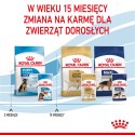 ROYAL CANIN Maxi Puppy 10x140g Royal Canin