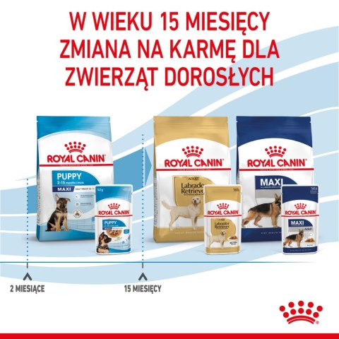 ROYAL CANIN Maxi Puppy 10x140g Royal Canin