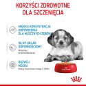 ROYAL CANIN Medium Puppy 10x140g Royal Canin