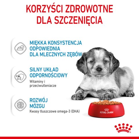ROYAL CANIN Medium Puppy 10x140g Royal Canin