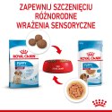 ROYAL CANIN Medium Puppy 10x140g Royal Canin