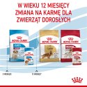 ROYAL CANIN Medium Puppy 10x140g Royal Canin