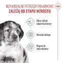 ROYAL CANIN Medium Puppy 1kg Royal Canin