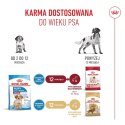 ROYAL CANIN Medium Puppy 1kg Royal Canin