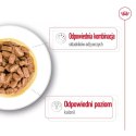 ROYAL CANIN Mini Ageing 12+ 12x85g Royal Canin