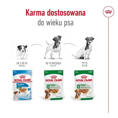 ROYAL CANIN Mini Ageing 12+ 12x85g Royal Canin
