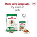 ROYAL CANIN Mini Ageing 12+ 12x85g Royal Canin