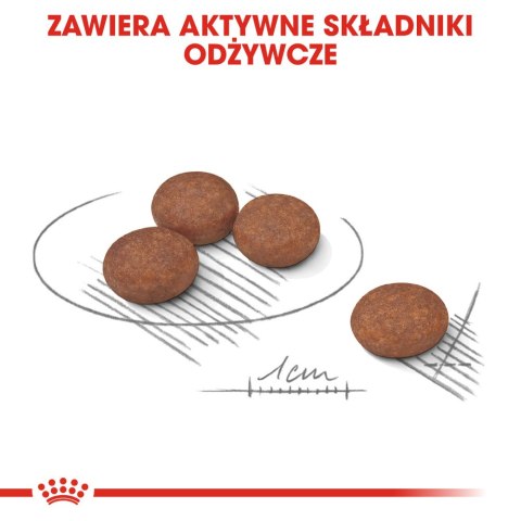 ROYAL CANIN Mini Digestive Care 1kg Royal Canin