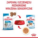 ROYAL CANIN Mini Puppy 12x85g Royal Canin