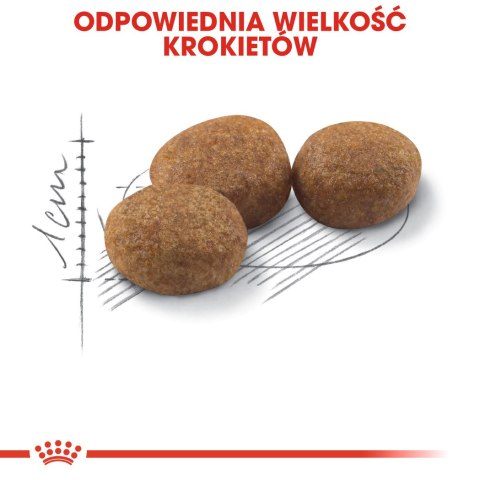 ROYAL CANIN Sterilised 37 10kg Royal Canin