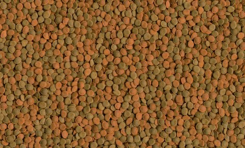 Tetra Wafer Mix 100ml TETRA