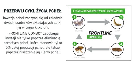 FRONTLINE Combo Spot-On Dla Kotów 3x0,5ml Frontline (Boehringer Ingelheim)