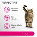 PERFECT FIT Adult 1+ Z Łososiem 750g Perfect Fit