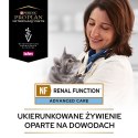 PURINA Pro Plan Veterinary Diets NF Renal Function Cat 195g PRO PLAN Veterinary Diets