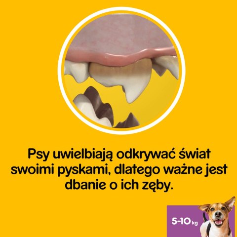 Pedigree DentaStix Przysmak Dentystyczny Dla Psów Od 4 Miesiąca I Wadze 5-10kg 110g Pedigree