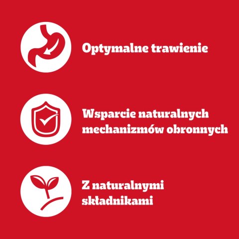 Pedigree Mokra Karma Dla Dorosłych Psów W Sosie (Z Wołowiną I Jagnięciną, Z Indykiem I Marchewką) 4x100g Pedigree