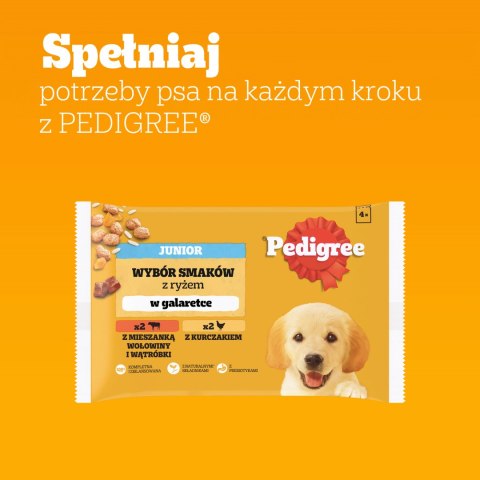 Pedigree Mokra Karma Dla Szczeniąt W Galaretce (Z Kurczakiem I Ryżem, Z Wołowiną I Ryżem) 4x100g Pedigree