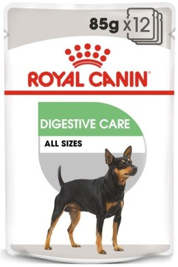 ROYAL CANIN CCN Digestive Care Pasztet 12x85g Royal Canin