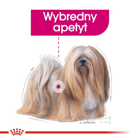 ROYAL CANIN CCN Exigent Pasztet 12x85g Royal Canin