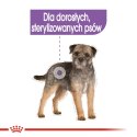 ROYAL CANIN CCN Sterilised Mini Pasztet 12x85g Royal Canin