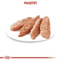 ROYAL CANIN CCN Sterilised Mini Pasztet 12x85g Royal Canin