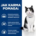 Hill's PD Prescription Diet Feline i/d 85g Hills