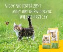 Josera Kitten Grainfree 10kg Josera