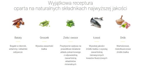 Josera NatureCat 2kg Josera