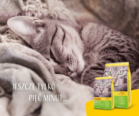 Josera SensiCat 10kg Josera