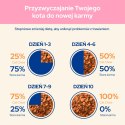 Purina Cat Chow Kitten Karma Z Jagnięciną I Cukinią W Sosie 85g Purina Cat Chow
