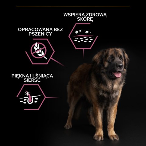 Purina Pro Plan Large Adult Robust Optiderma Łosoś Z Ryżem 14kg Purina Pro Plan