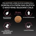 Purina Pro Plan Large Adult Robust Optiderma Łosoś Z Ryżem 14kg Purina Pro Plan