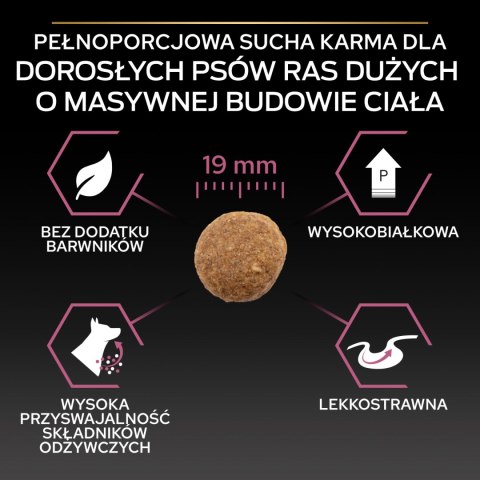 Purina Pro Plan Large Adult Robust Optiderma Łosoś Z Ryżem 14kg Purina Pro Plan