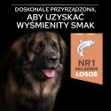 Purina Pro Plan Large Adult Robust Optiderma Łosoś Z Ryżem 14kg Purina Pro Plan
