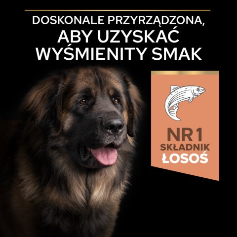 Purina Pro Plan Large Adult Robust Optiderma Łosoś Z Ryżem 14kg Purina Pro Plan