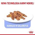 ROYAL CANIN Indoor Sterilised W Galaretce 12x85g Royal Canin