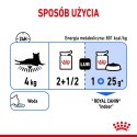 ROYAL CANIN Indoor Sterilised W Galaretce 12x85g Royal Canin