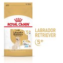 ROYAL CANIN Labrador Retriever Adult 5+ 12kg Royal Canin
